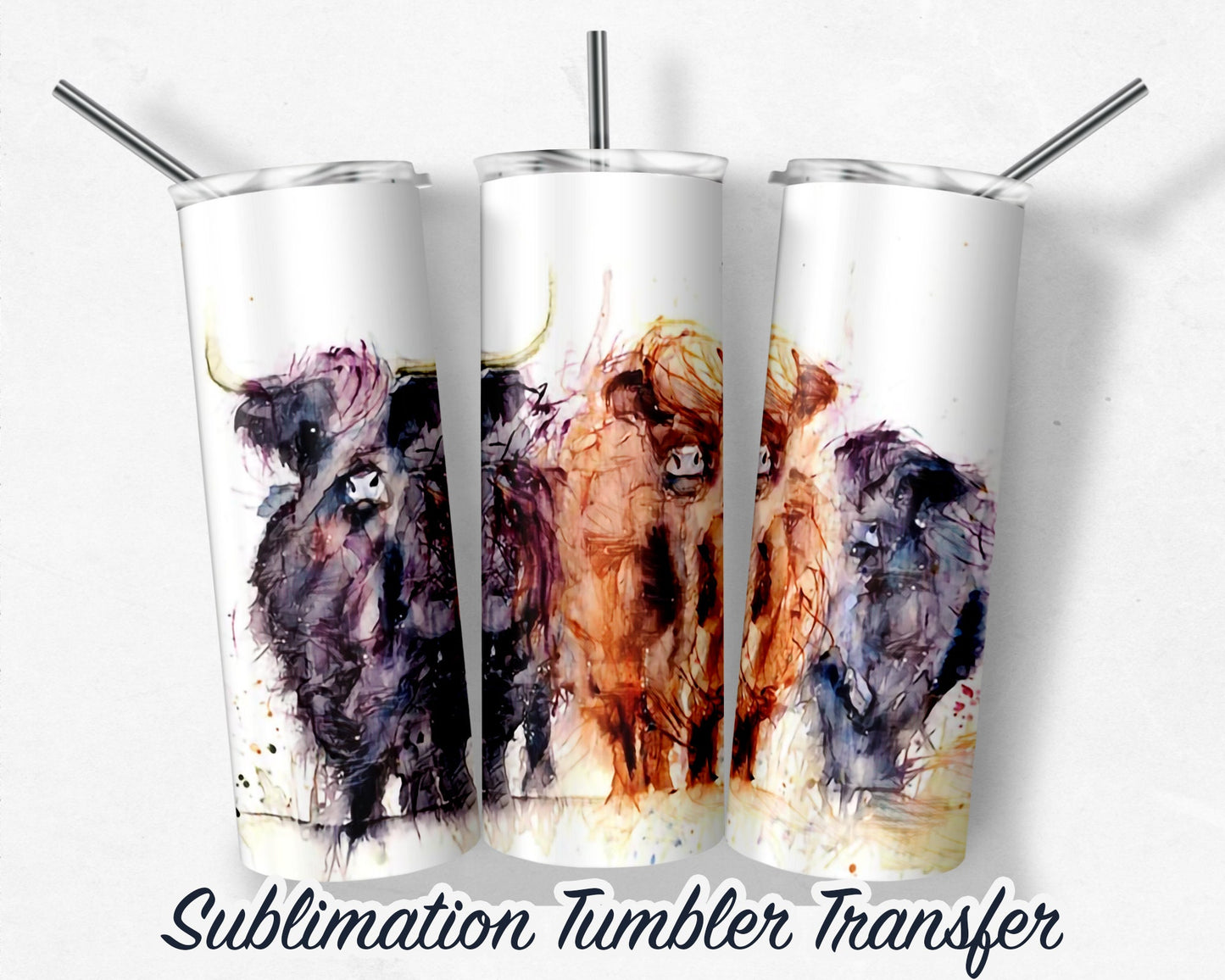 Highland Cow  Sublimation Transfer Print For 20 oz Tumblers - 30 oz Tumblers - Ready To press - Heat Transfers