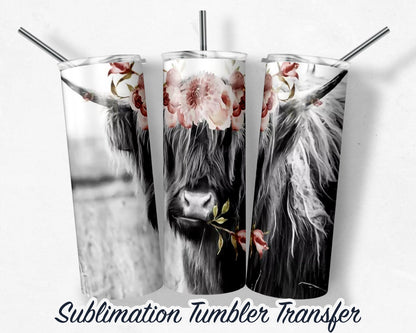 Highland Cow  Sublimation Transfer Print For 20 oz Tumblers - 30 oz Tumblers - Ready To press - Heat Transfers