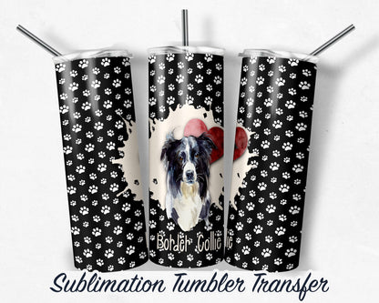 Border Collie  Sublimation Transfer Print For 20 oz Tumblers - 30 oz Tumblers - Ready To press - Heat Transfers SHIPS NEXT DAY