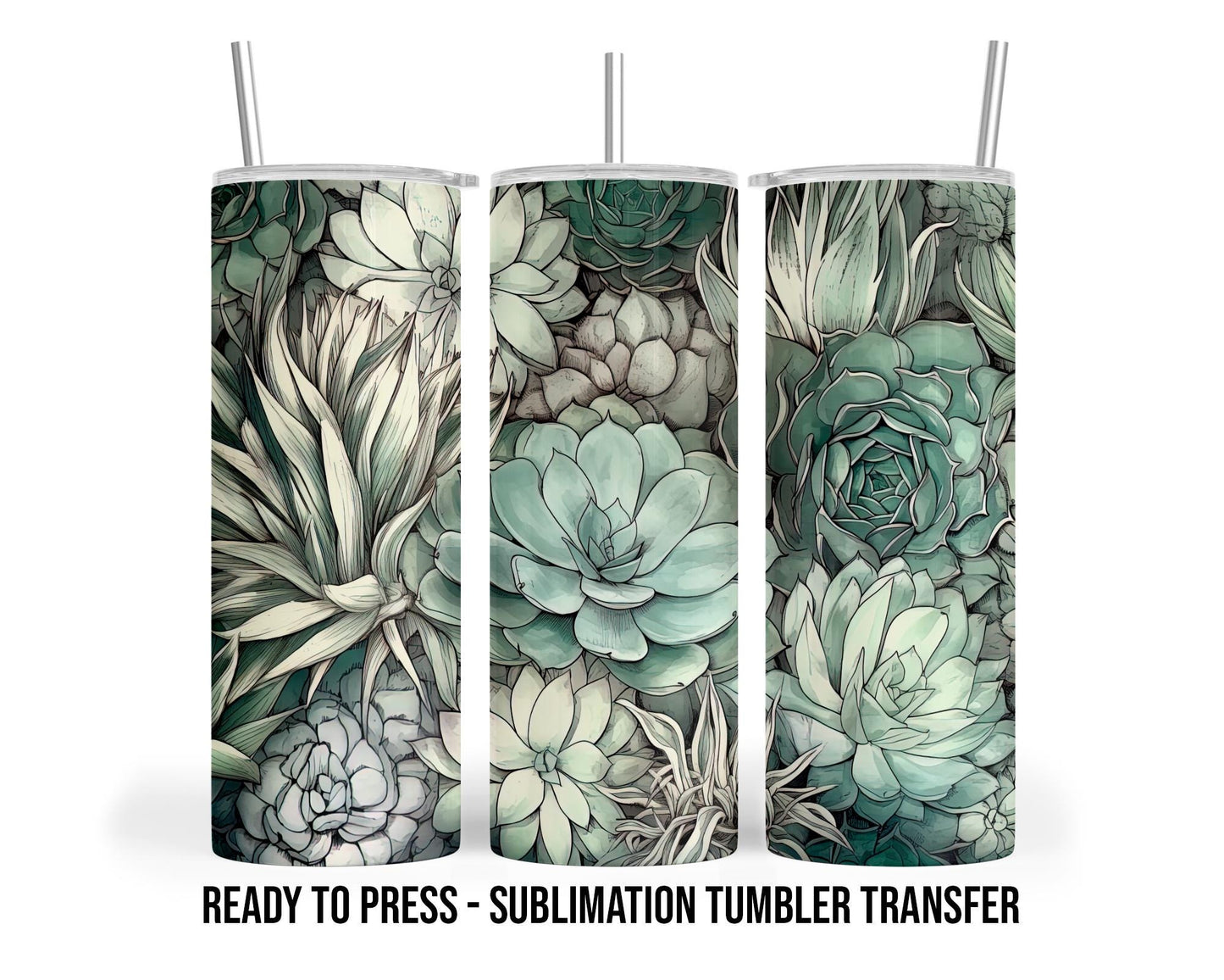 Succulent Sublimation Transfer Print For 20 oz Tumbler - 30 oz Skinny Tumbler - Ready To Press  Heat Transfers SHIPS NEXT DAY