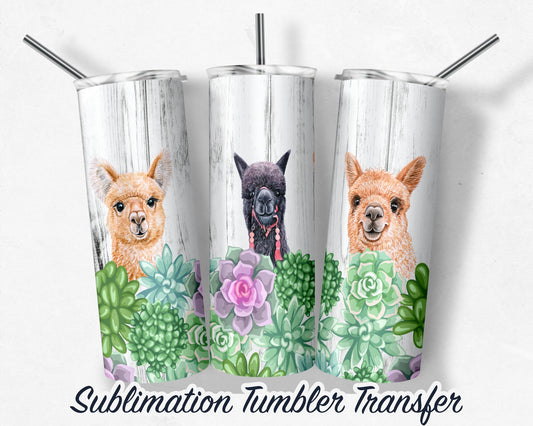 Llama  Sublimation Transfer Print For 20 oz Tumblers - 30 oz Tumblers - Ready To press - Heat Transfers